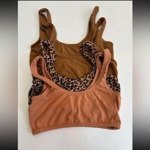 Arq Bras Medium